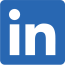 LI-In-Bug-no-R