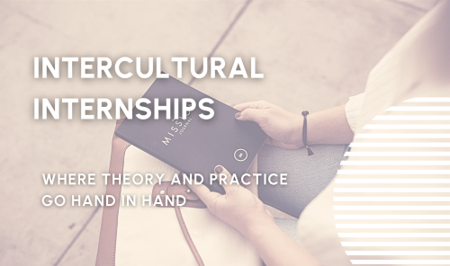 intercultural internships